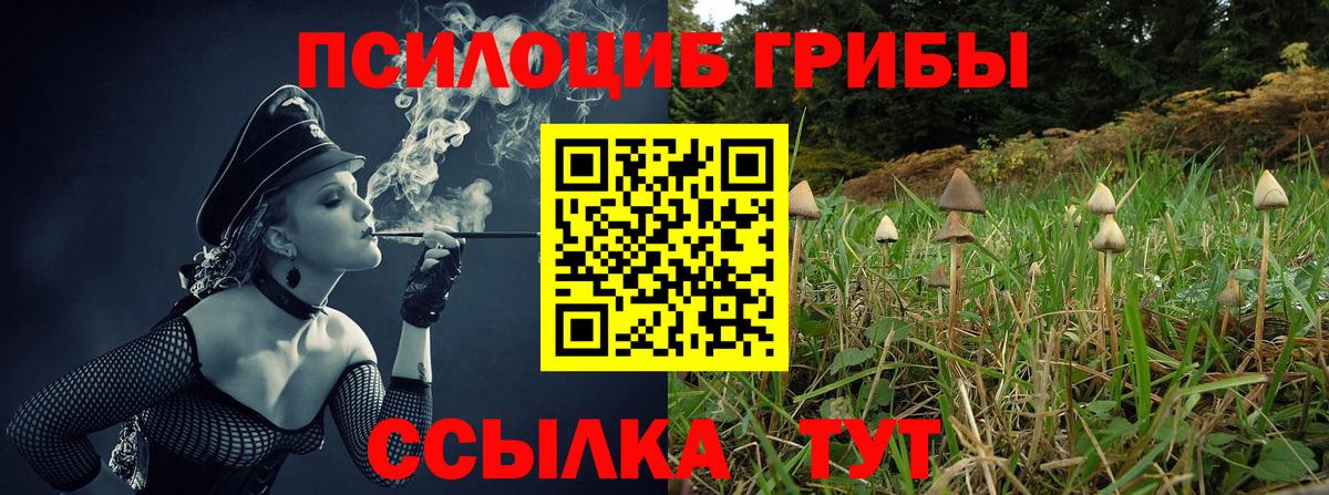 Галлюциногенные грибы Cubensis  Вход с VPN  Кимовск 