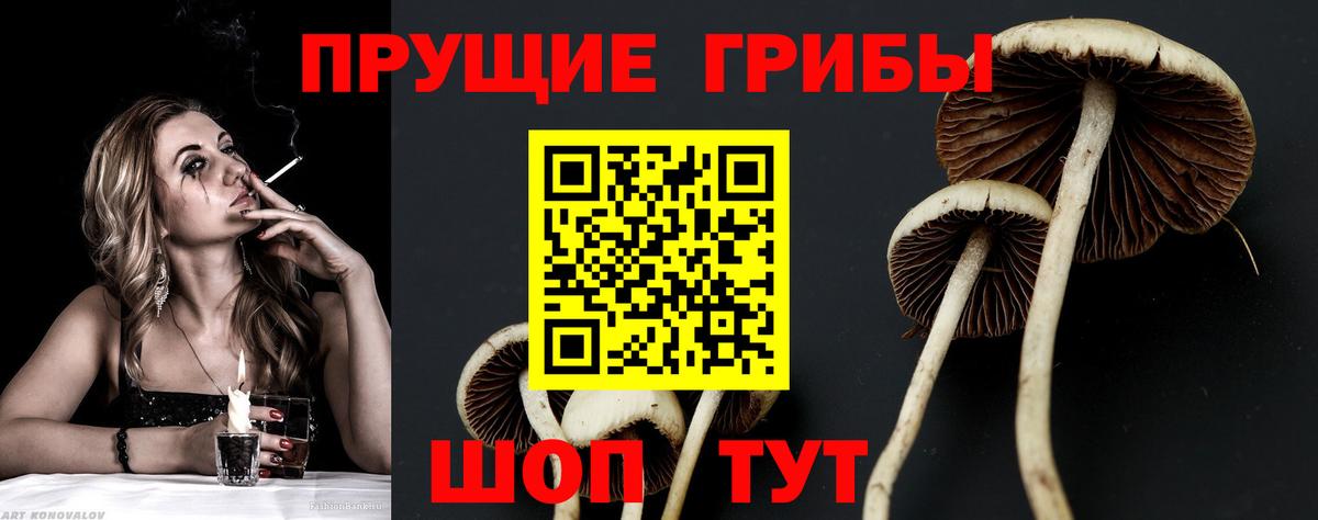 Галлюциногенные грибы мухоморы Кимовск